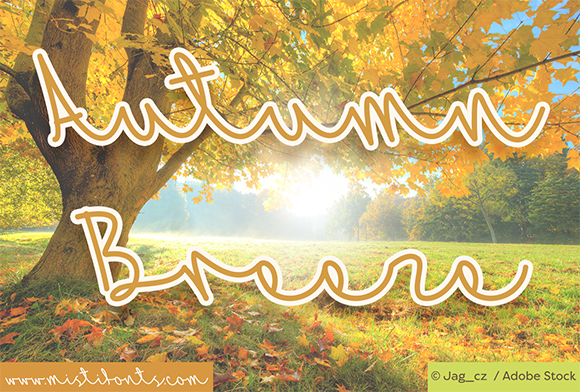 Autumn Breeze: A Left-Leaning Script Font That Cuts Through the Feed