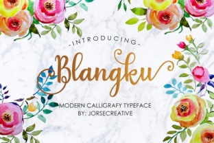 Blangku: A Hand-Drawn Font That Makes Your Brand Feel Human